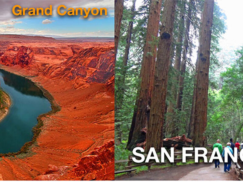 NEW YORK AF 5 GECE (JFK-JFK) 2026