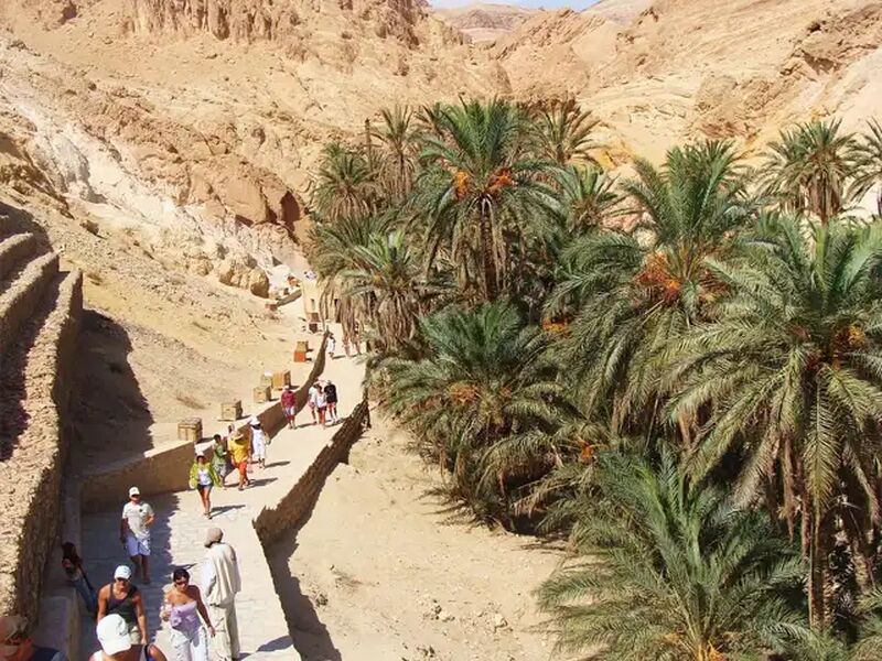 TUNUS  TK  2026 (TUN-TUN)