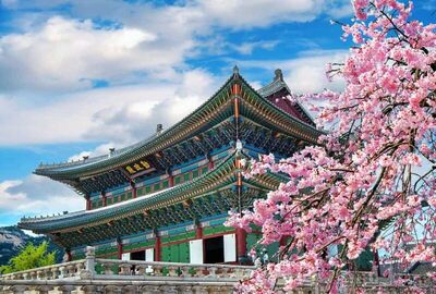 Dolu Dolu Japonya & Kore Turu Mistik Rotalar