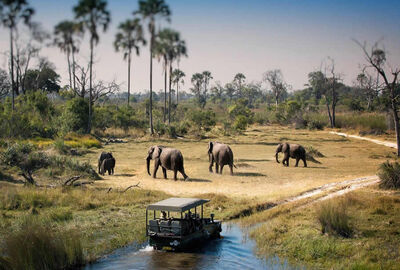 Dolu Dolu Güney Afrika & Botsvana & Victoria Şelaleleri Turu Rotası