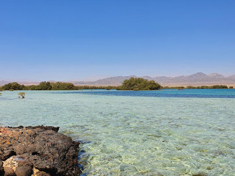 ANKARA’DAN KAHİRE & SHARM EL SHEİKH TURU Air Cairo Havayolları Özel Seferi ile 7 gece