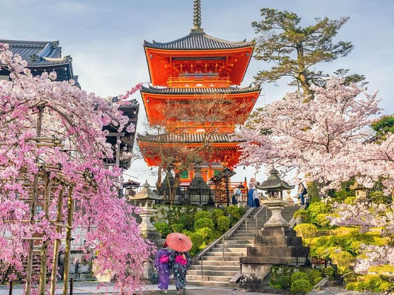 Dolu Dolu Japonya Turu Rotası