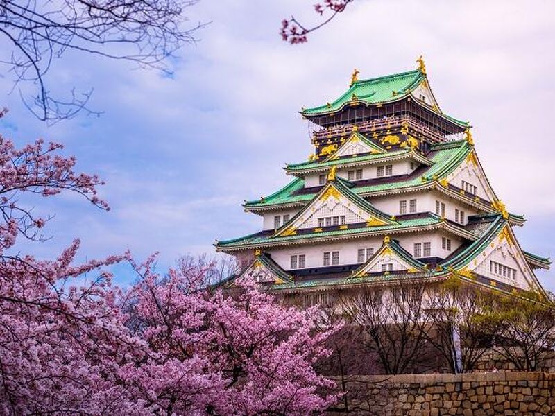 Dolu Dolu Japonya Turu Rotası