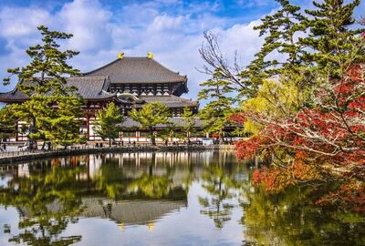 Dolu Dolu Sakura Dönemi Özel Japonya & Kore Turu Mistik Rotalar V3