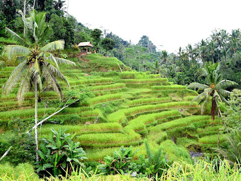 Dolu Dolu Singapur & Bali & Kuala Lumpur Turu Rotası