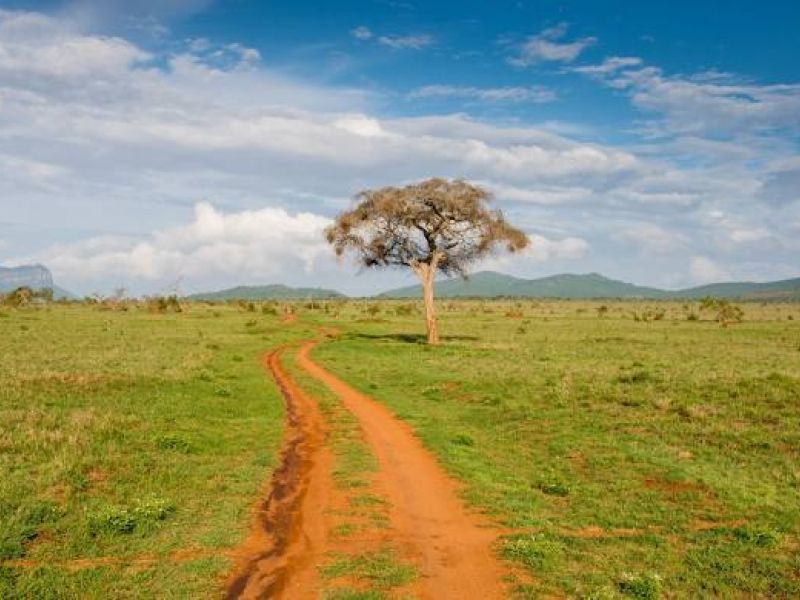 ELEGANT KENYA BÜYÜK GÖÇ - 6 Gece - Thy (NBO-NBO)