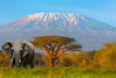 ELEGANT KENYA BÜYÜK GÖÇ - 6 Gece - Thy (NBO-NBO)