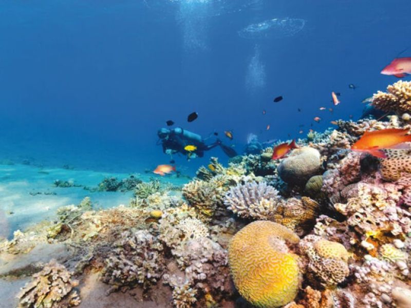 Sharm El Sheikh - Kızıldeniz Rotası Turu (5 Gece - 6 Gün)