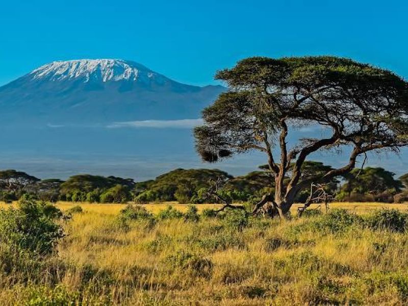 Dolu Dolu Kenya Safari Turu Rotası