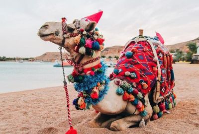 THY ile İstanbul'dan Sharm El Sheikh Turu 4 Gece (367)