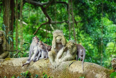 Harikalar Diyarı Bali & Ubud & Kuala Lumpur Turu Rotası 